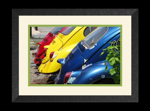 ’’The Eternal Bug’’ - Tri-Color VWs $600